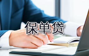 陵水保单贷